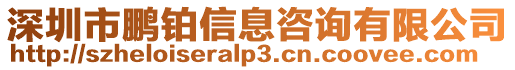 深圳市鵬鉑信息咨詢有限公司