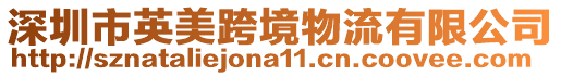 深圳市英美跨境物流有限公司