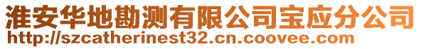 淮安华地勘测有限公司宝应分公司