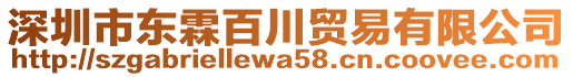 深圳市东霖百川贸易有限公司