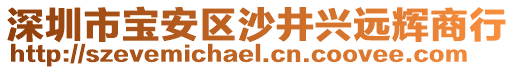 深圳市寶安區(qū)沙井興遠輝商行