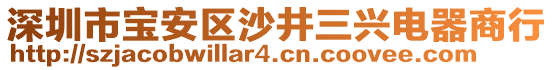 深圳市寶安區(qū)沙井三興電器商行