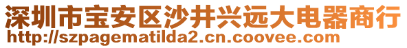 深圳市寶安區(qū)沙井興遠(yuǎn)大電器商行