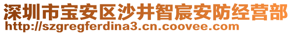 深圳市寶安區(qū)沙井智宸安防經(jīng)營(yíng)部