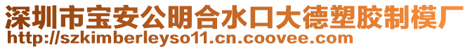 深圳市寶安公明合水口大德塑膠制模廠