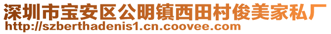 深圳市寶安區公明鎮西田村俊美家私廠