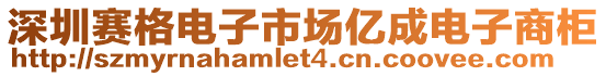 深圳賽格電子市場億成電子商柜
