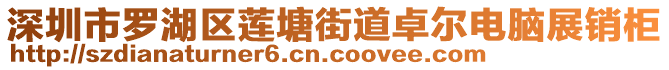 深圳市羅湖區(qū)蓮塘街道卓爾電腦展銷柜