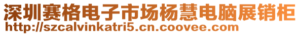 深圳賽格電子市場(chǎng)楊慧電腦展銷柜