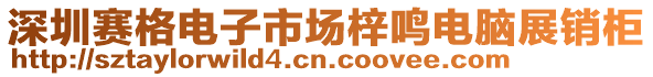 深圳賽格電子市場梓鳴電腦展銷柜