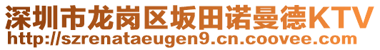 深圳市龍崗區(qū)坂田諾曼德KTV