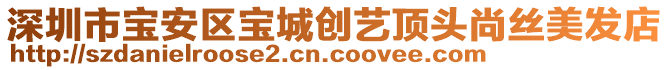 深圳市寶安區寶城創藝頂頭尚絲美發店