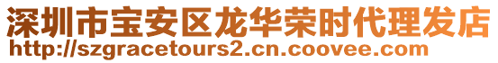 深圳市寶安區(qū)龍華榮時代理發(fā)店