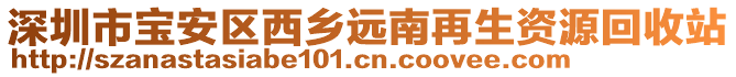 深圳市寶安區西鄉遠南再生資源回收站