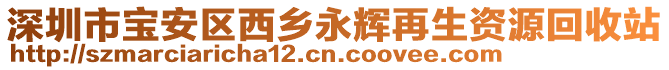 深圳市寶安區(qū)西鄉(xiāng)永輝再生資源回收站