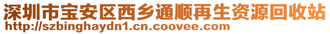 深圳市寶安區(qū)西鄉(xiāng)通順再生資源回收站