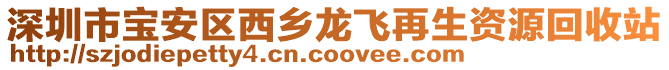 深圳市寶安區(qū)西鄉(xiāng)龍飛再生資源回收站