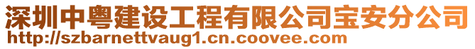 深圳中粵建設工程有限公司寶安分公司