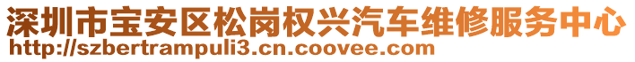 深圳市寶安區(qū)松崗權(quán)興汽車維修服務(wù)中心