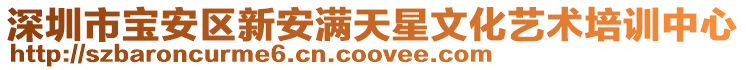 深圳市寶安區新安滿天星文化藝術培訓中心