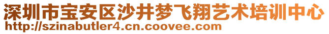 深圳市寶安區沙井夢飛翔藝術培訓中心