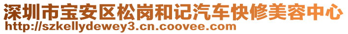 深圳市寶安區(qū)松崗和記汽車快修美容中心