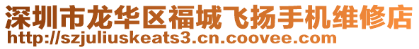深圳市龍華區福城飛揚手機維修店