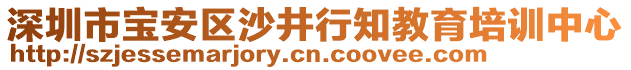 深圳市寶安區(qū)沙井行知教育培訓中心
