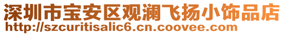 深圳市寶安區(qū)觀瀾飛揚(yáng)小飾品店
