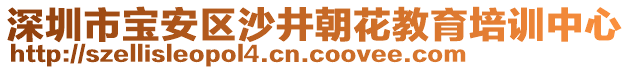 深圳市寶安區(qū)沙井朝花教育培訓中心