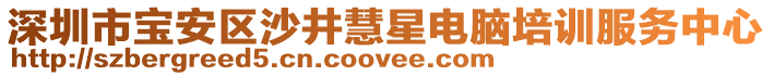 深圳市寶安區沙井慧星電腦培訓服務中心