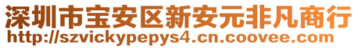 深圳市寶安區(qū)新安元非凡商行