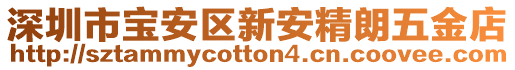 深圳市寶安區(qū)新安精朗五金店