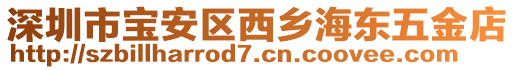 深圳市寶安區西鄉海東五金店