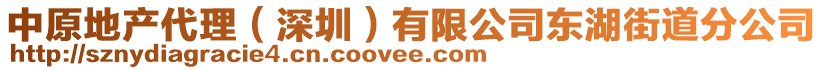 中原地產(chǎn)代理（深圳）有限公司東湖街道分公司