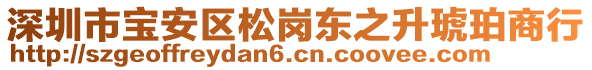 深圳市寶安區(qū)松崗東之升琥珀商行