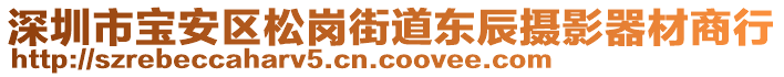 深圳市寶安區(qū)松崗街道東辰攝影器材商行