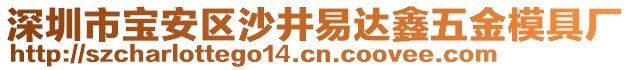 深圳市寶安區(qū)沙井易達鑫五金模具廠