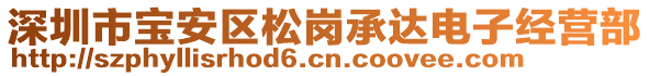 深圳市寶安區(qū)松崗承達(dá)電子經(jīng)營(yíng)部