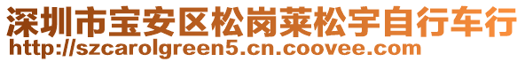 深圳市寶安區(qū)松崗萊松宇自行車行