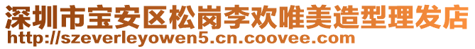 深圳市寶安區(qū)松崗李歡唯美造型理發(fā)店