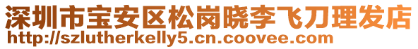 深圳市寶安區(qū)松崗曉李飛刀理發(fā)店