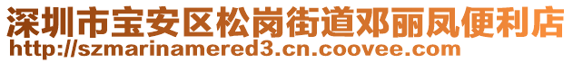 深圳市寶安區(qū)松崗街道鄧麗鳳便利店