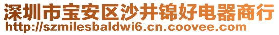 深圳市寶安區(qū)沙井錦好電器商行