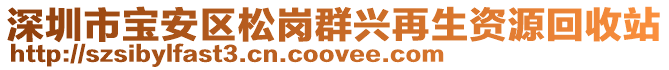 深圳市寶安區(qū)松崗群興再生資源回收站