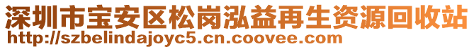 深圳市寶安區松崗泓益再生資源回收站