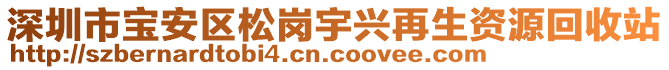 深圳市寶安區(qū)松崗宇興再生資源回收站