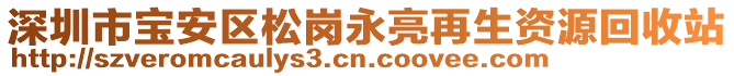 深圳市寶安區(qū)松崗永亮再生資源回收站