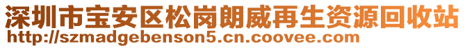 深圳市寶安區(qū)松崗朗威再生資源回收站