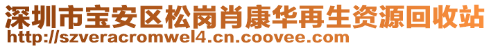 深圳市寶安區(qū)松崗肖康華再生資源回收站